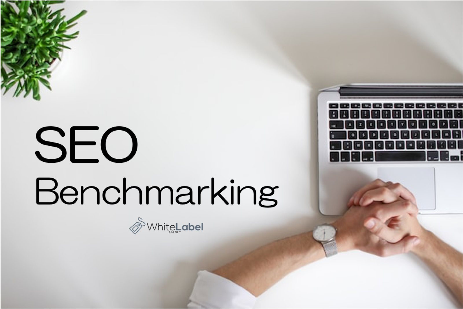 What is SEO Benchmarking?