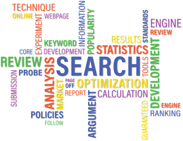 search-1355847_640