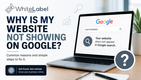 Why Is My Website Not Showing on Google?
